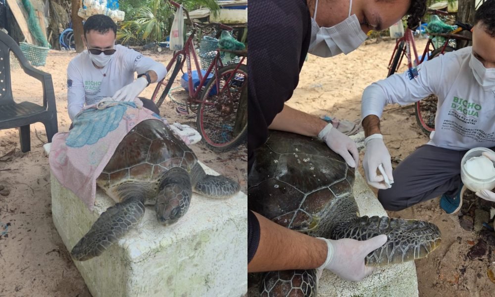 moradores da comunidade. A equipe, que atua no Projeto de Caracterização e Monit