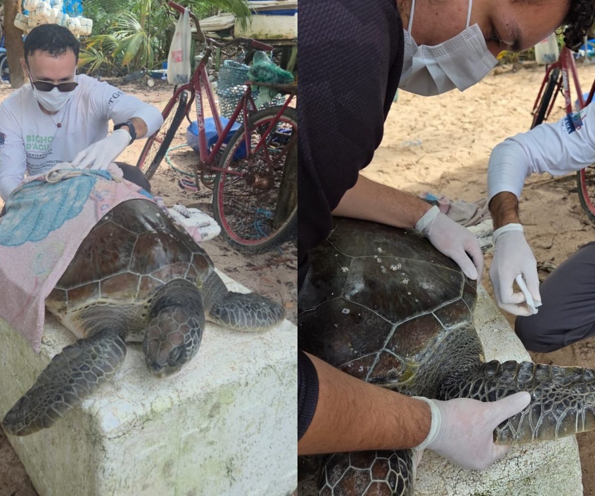 moradores da comunidade. A equipe, que atua no Projeto de Caracterização e Monit