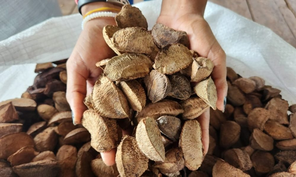 saca. Cidades que registravam valores mais altos, como Almeirim (R$ 337,50; qued