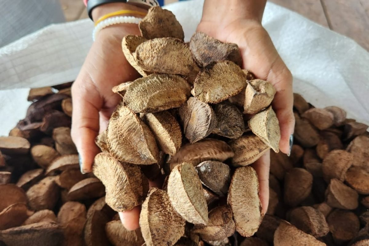 saca. Cidades que registravam valores mais altos, como Almeirim (R$ 337,50; qued