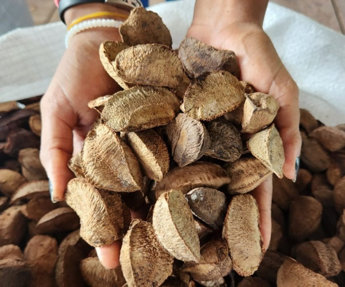 saca. Cidades que registravam valores mais altos, como Almeirim (R$ 337,50; qued