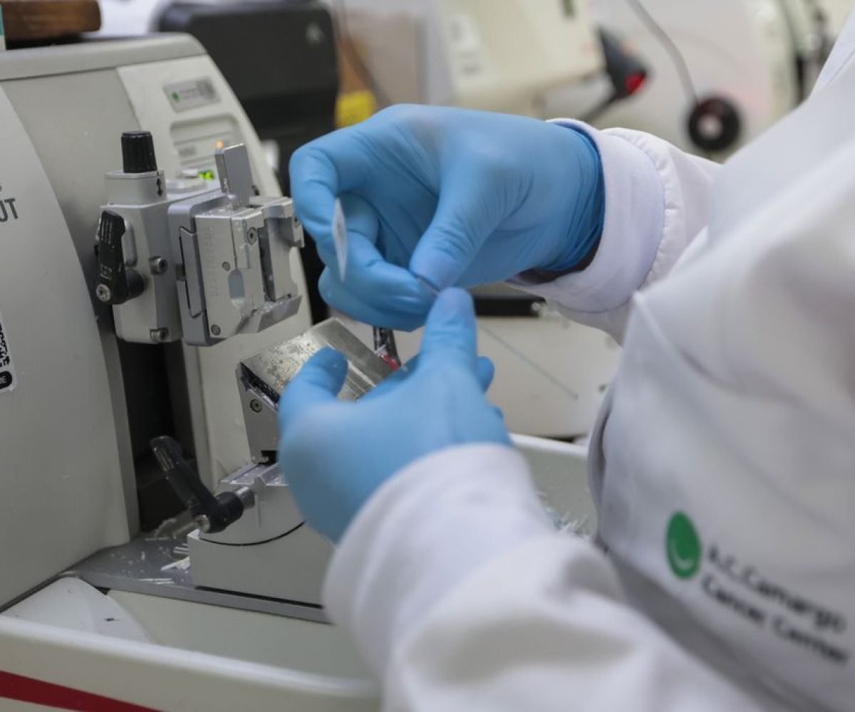 tações; estímulo à transferência de tecnologia; incentivo à formação de parceria