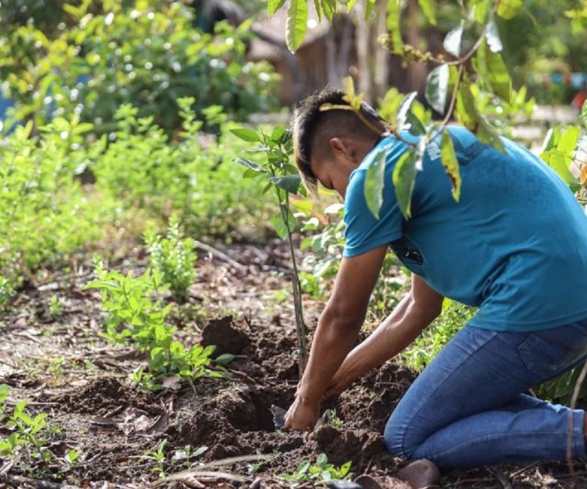 to Alegre, Porto Luiz de Souza e Riacho Verde. Os focos imediatos são habilitaçã