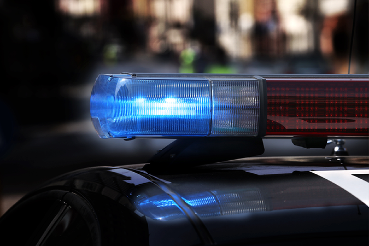 Corpo desmembrado é encontrado em área rural de Viseu, Pará