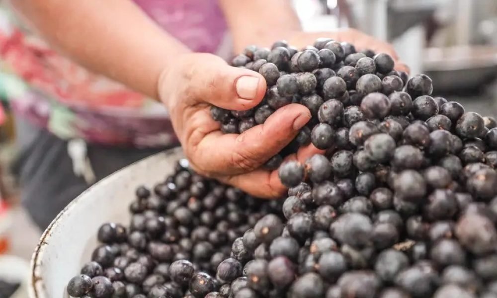 trás de cada prato, proporcionando experiências autênticas e imersivas que valor