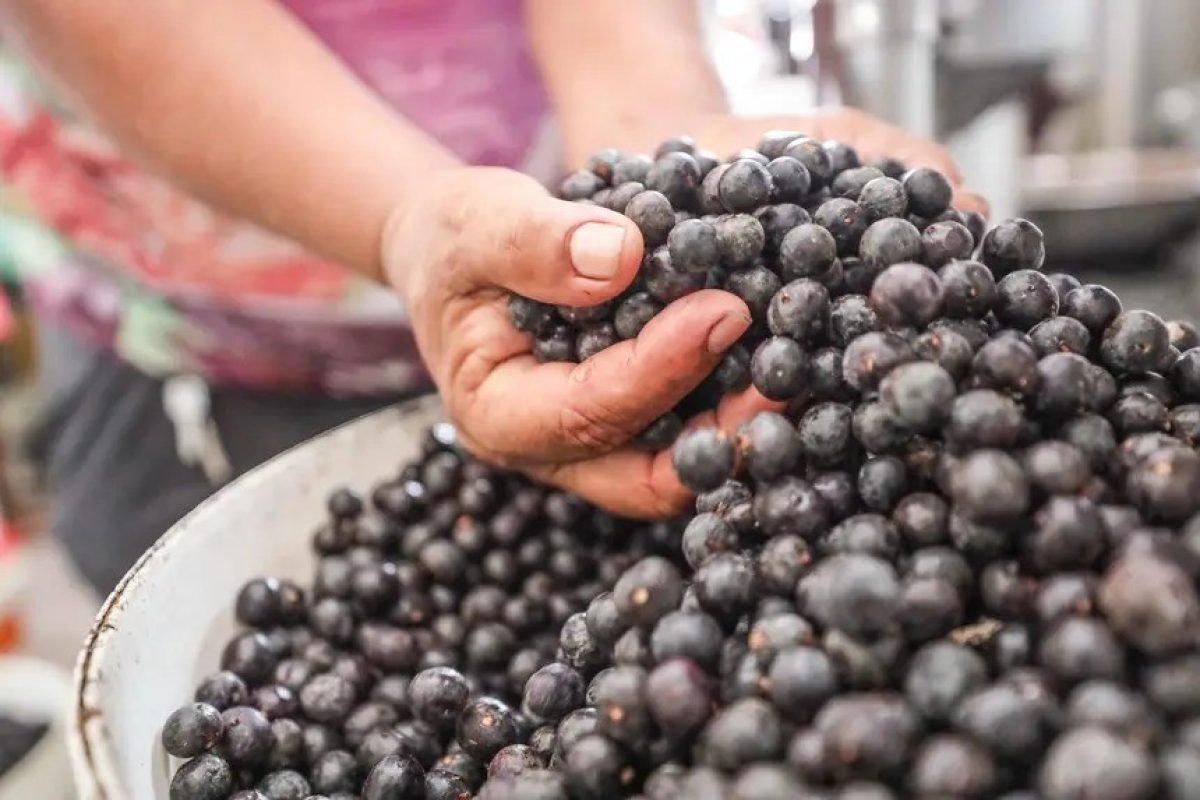 trás de cada prato, proporcionando experiências autênticas e imersivas que valor