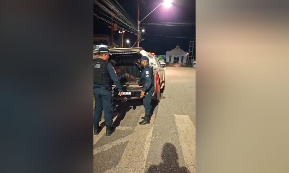 Seccional Urbana de Santarém Reprodução/Redes sociais