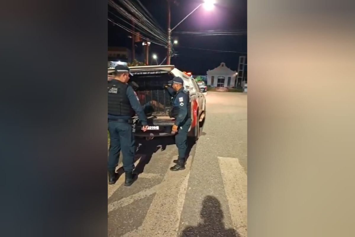 Seccional Urbana de Santarém Reprodução/Redes sociais