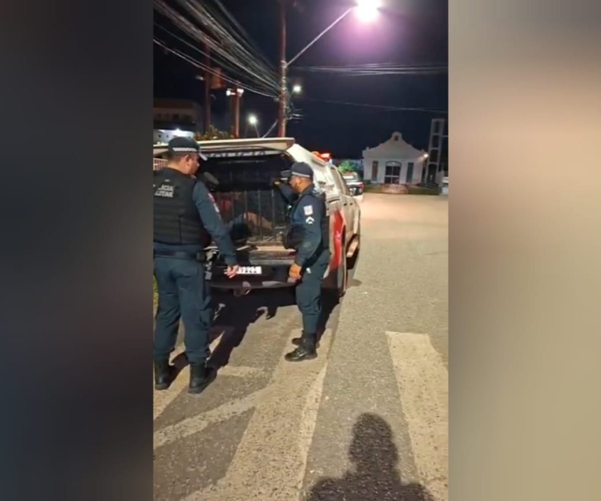 Seccional Urbana de Santarém Reprodução/Redes sociais