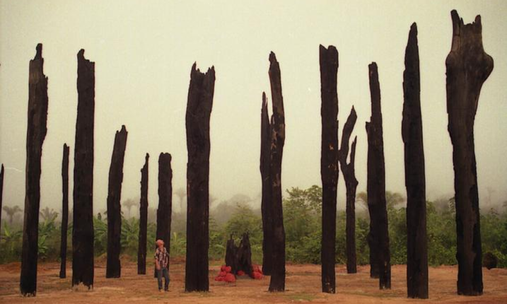 todos os territórios organizados pelo conjunto da militância do MST. VEJA MAIS