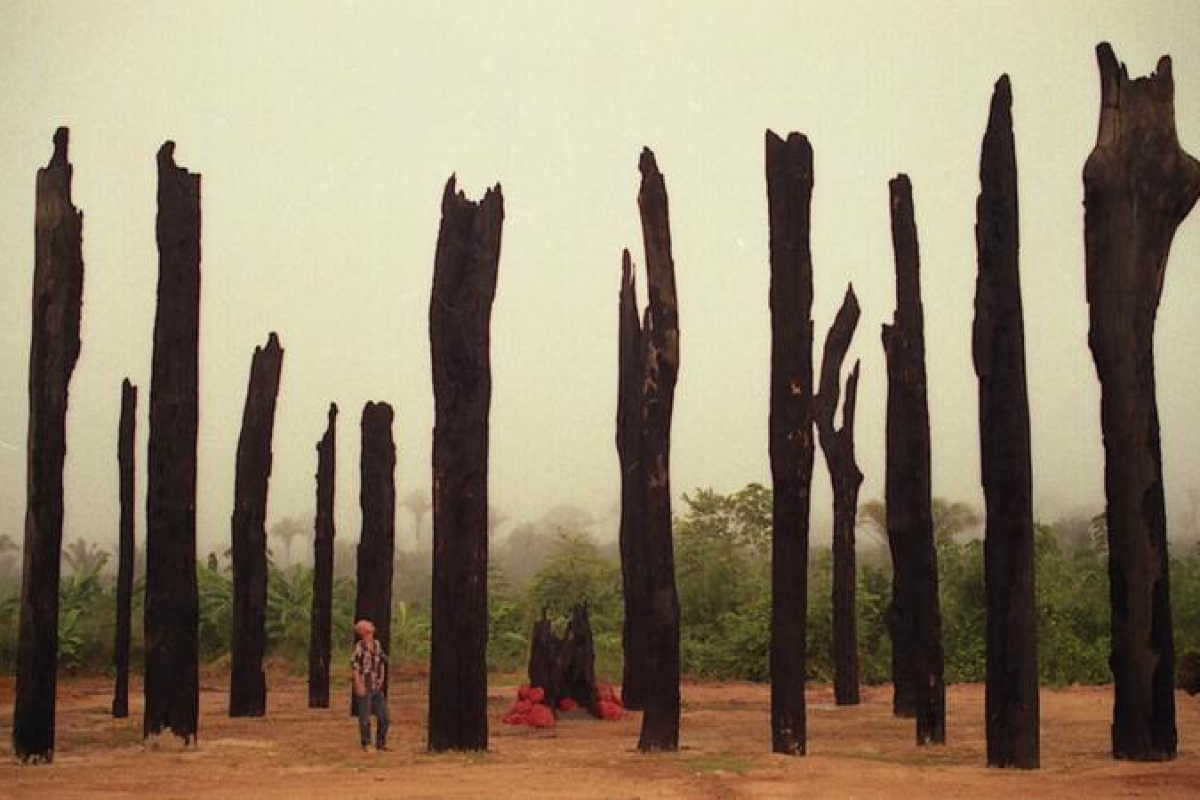 todos os territórios organizados pelo conjunto da militância do MST. VEJA MAIS