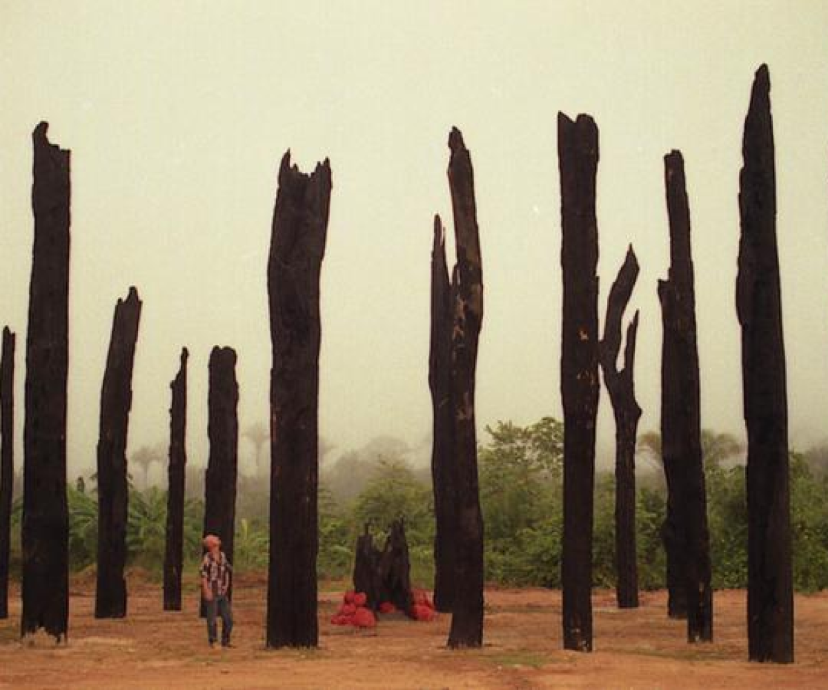 todos os territórios organizados pelo conjunto da militância do MST. VEJA MAIS