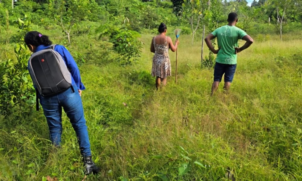 Produção de alimentos ganha qualidade com organização comunitária Ascom Imaflora/Divulgação