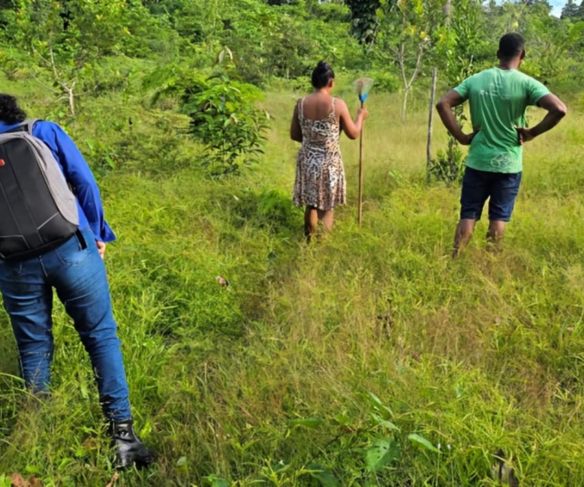 Produção de alimentos ganha qualidade com organização comunitária Ascom Imaflora/Divulgação