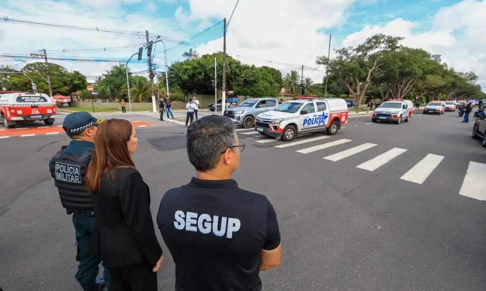 meio das Delegacias Especializadas no Atendimento à Mulher (Deam) e demais unida