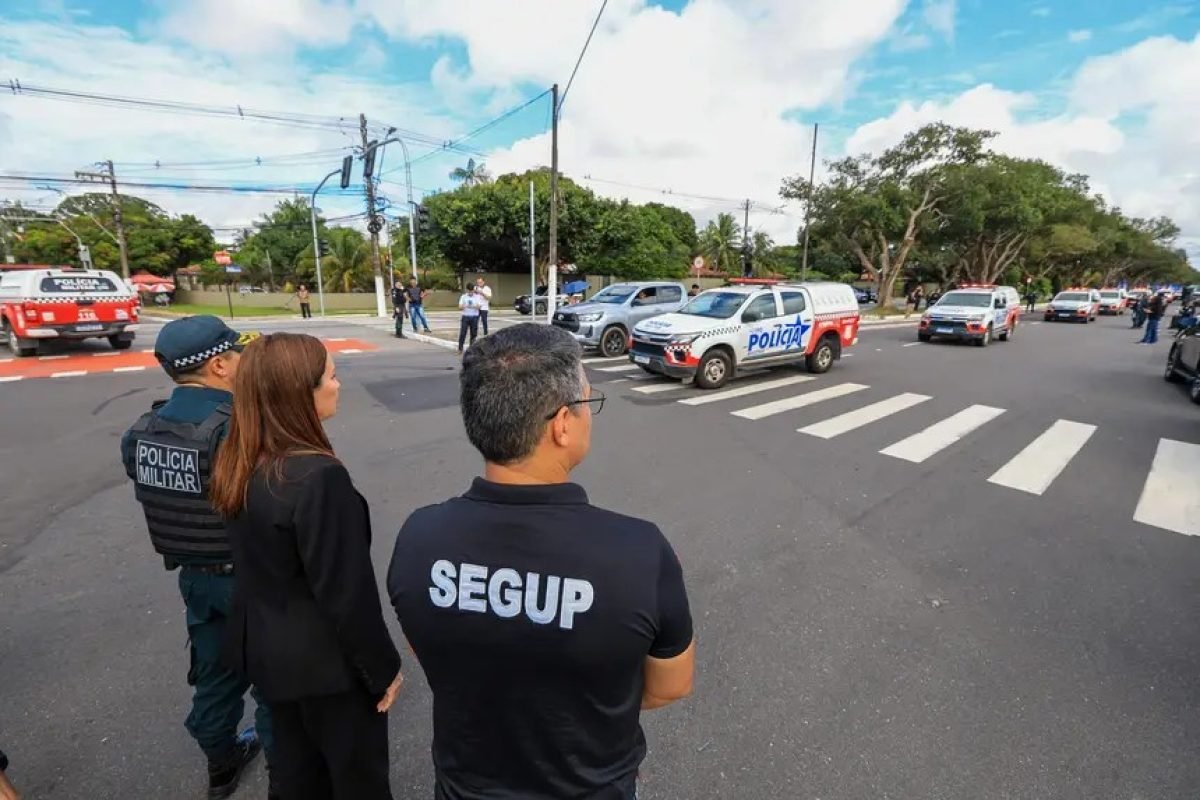 meio das Delegacias Especializadas no Atendimento à Mulher (Deam) e demais unida