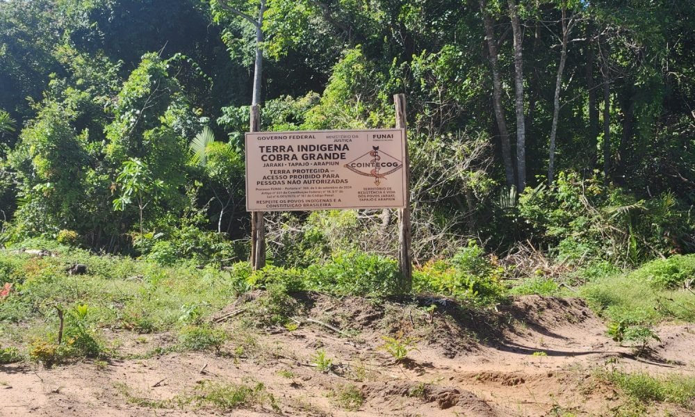 mês com combustível para o motor de luz e cerca de R$ 500 com gelo para conserva