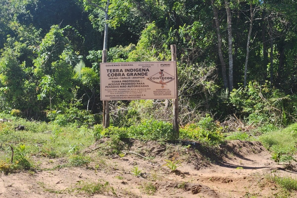 mês com combustível para o motor de luz e cerca de R$ 500 com gelo para conserva