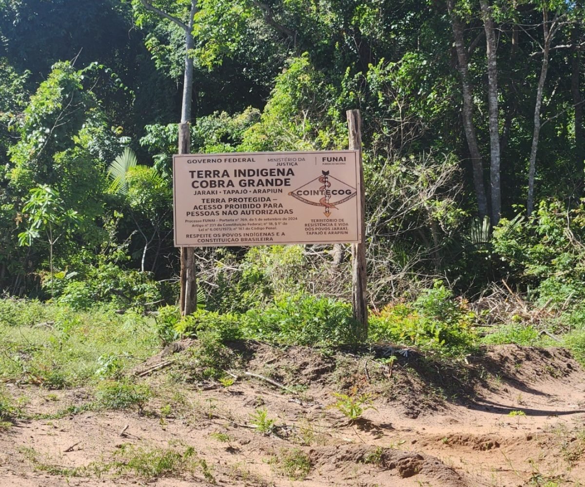 mês com combustível para o motor de luz e cerca de R$ 500 com gelo para conserva