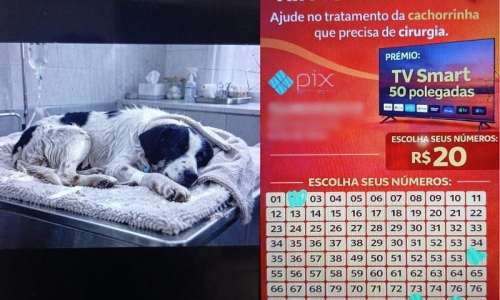 suspeita de estelionato, após supostamente utilizar o ChatGPT para gerar a image