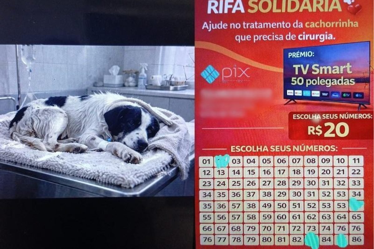 suspeita de estelionato, após supostamente utilizar o ChatGPT para gerar a image