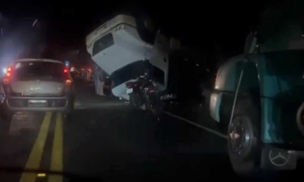 que além do acidente, alguns animais que estavam no veículo passaram a caminhar