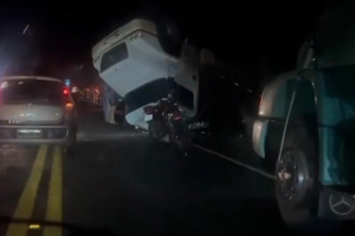 que além do acidente, alguns animais que estavam no veículo passaram a caminhar