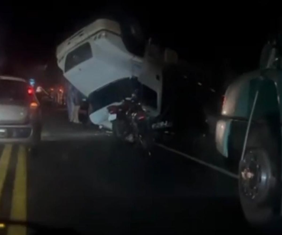 que além do acidente, alguns animais que estavam no veículo passaram a caminhar