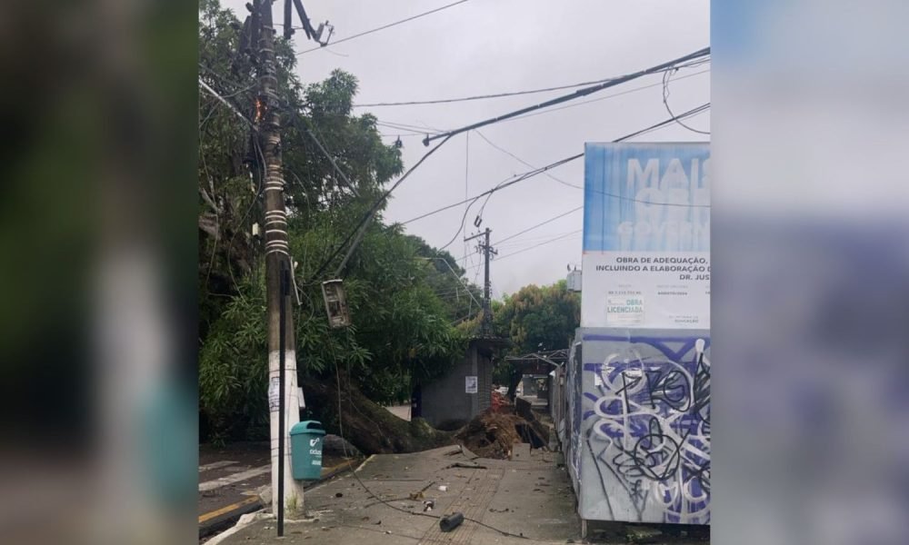 te cai e interdita trânsito na avenida Pedro Miranda, em Belém Redes Sociais Uma
