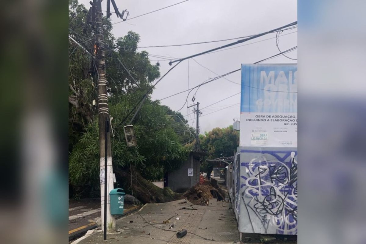 te cai e interdita trânsito na avenida Pedro Miranda, em Belém Redes Sociais Uma