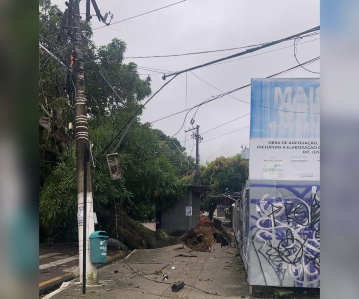 te cai e interdita trânsito na avenida Pedro Miranda, em Belém Redes Sociais Uma
