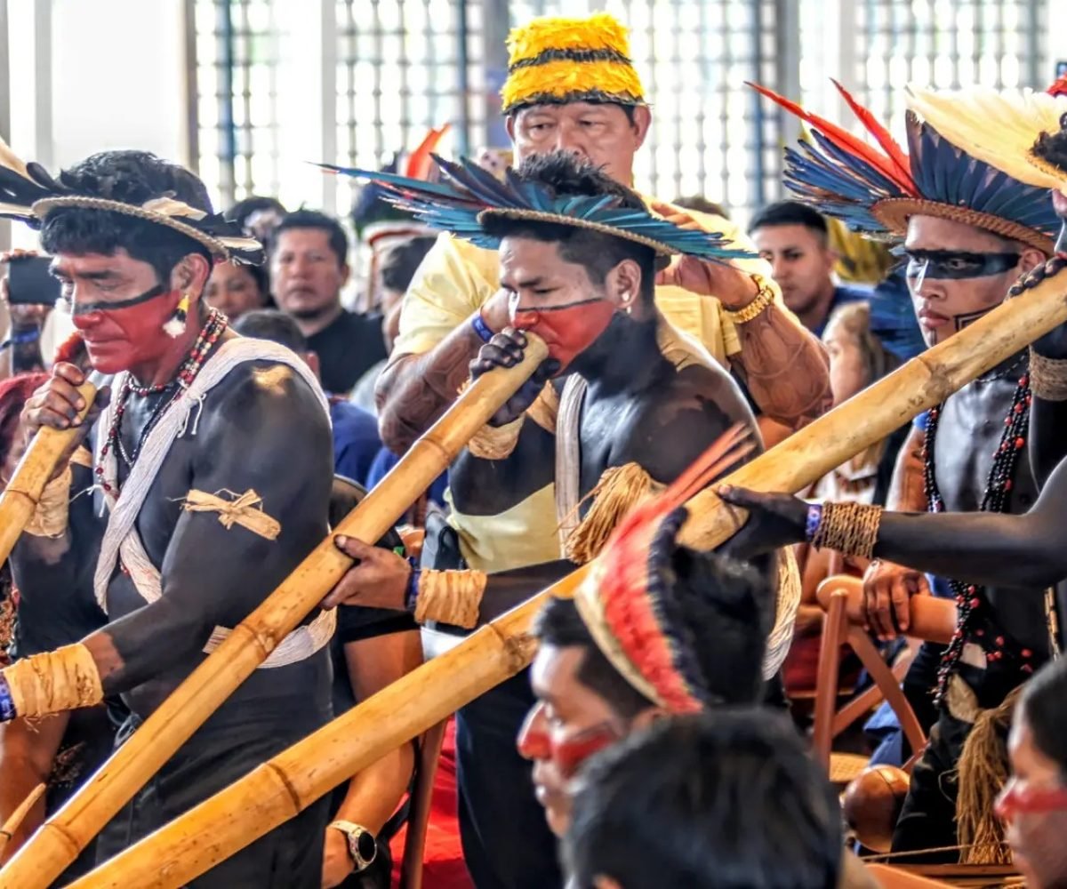 um outro caminho: o da ciência produzida por indígenas, que cresce dentro das un