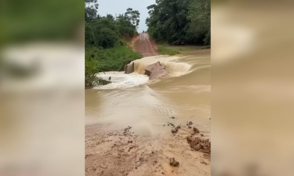 Imagem gerada com IA