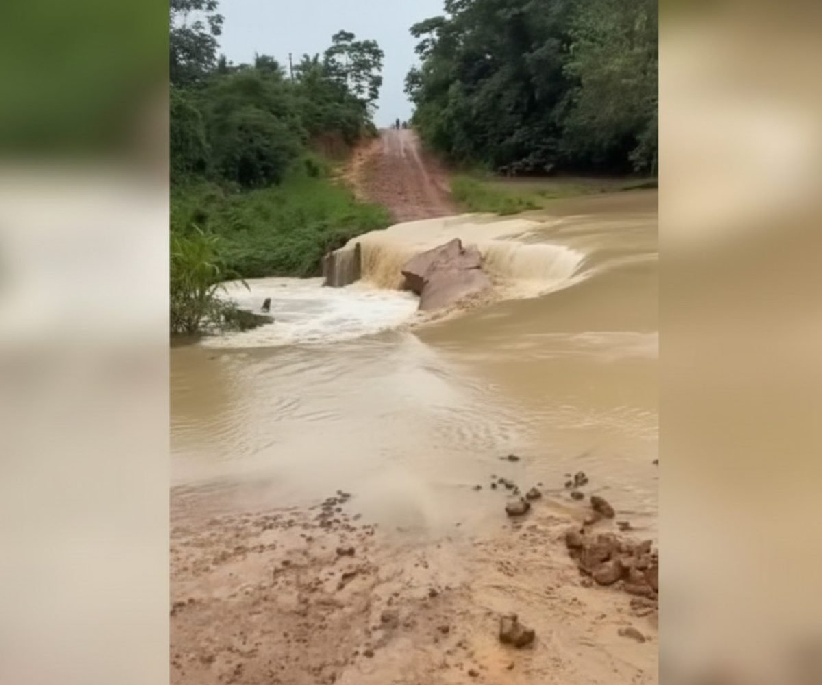 Imagem gerada com IA