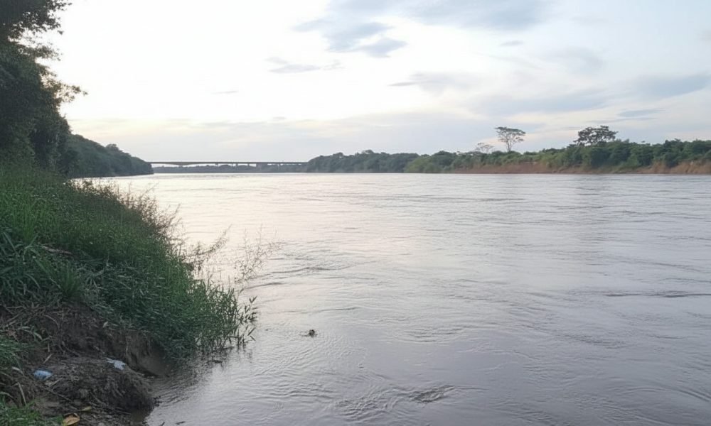 Imagem gerada com IA