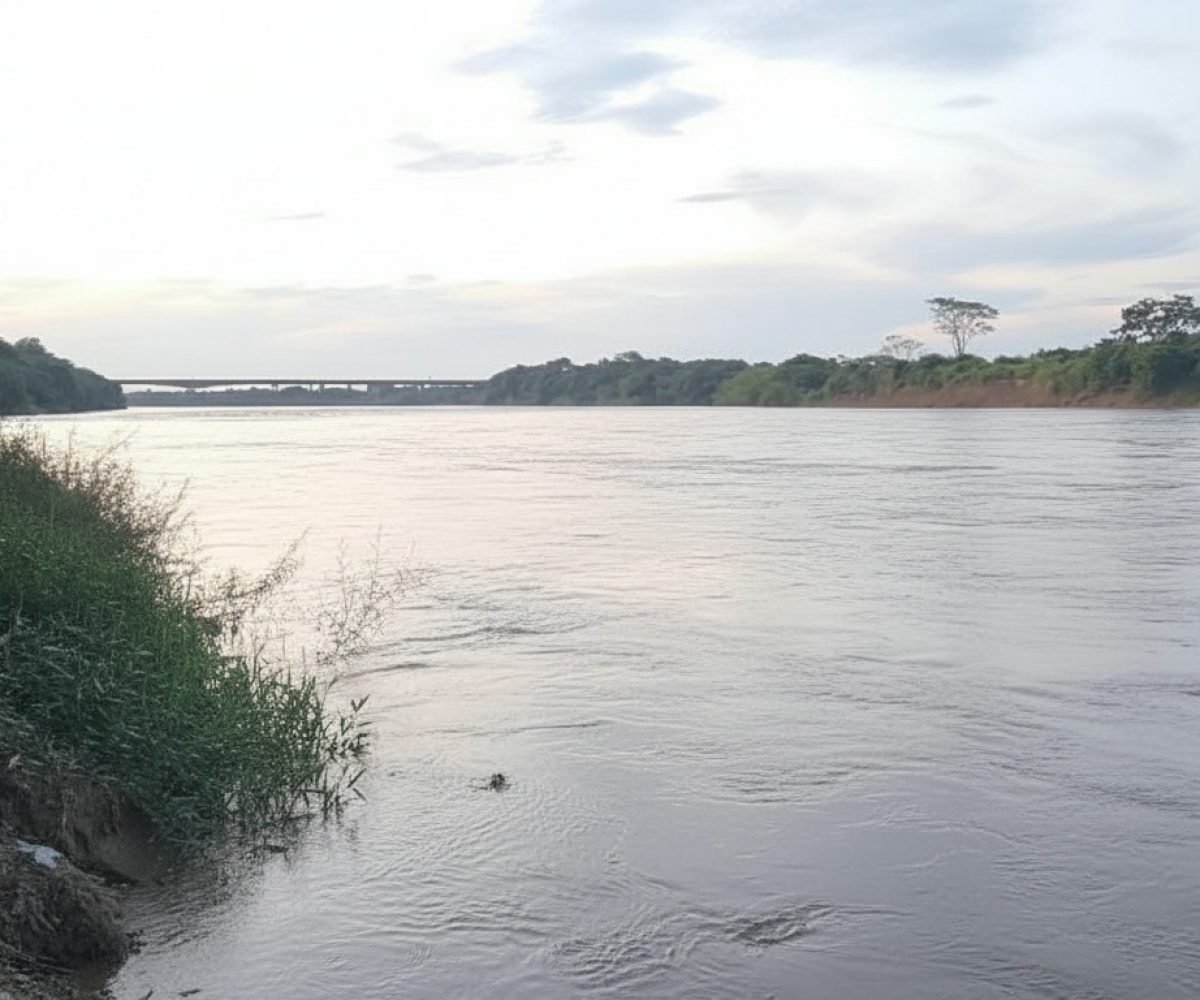 Imagem gerada com IA