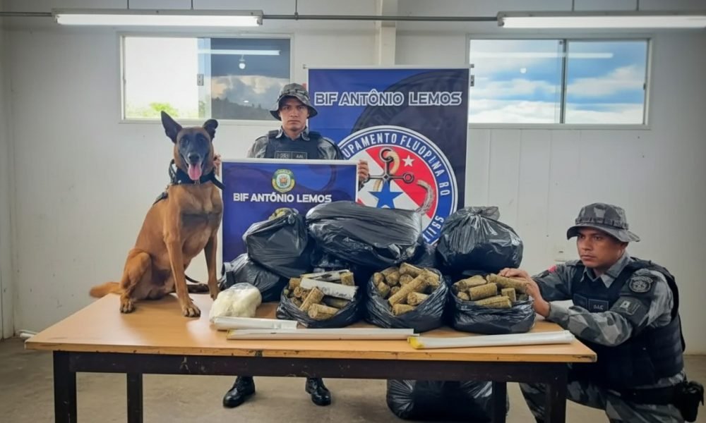 Imagem gerada com IA