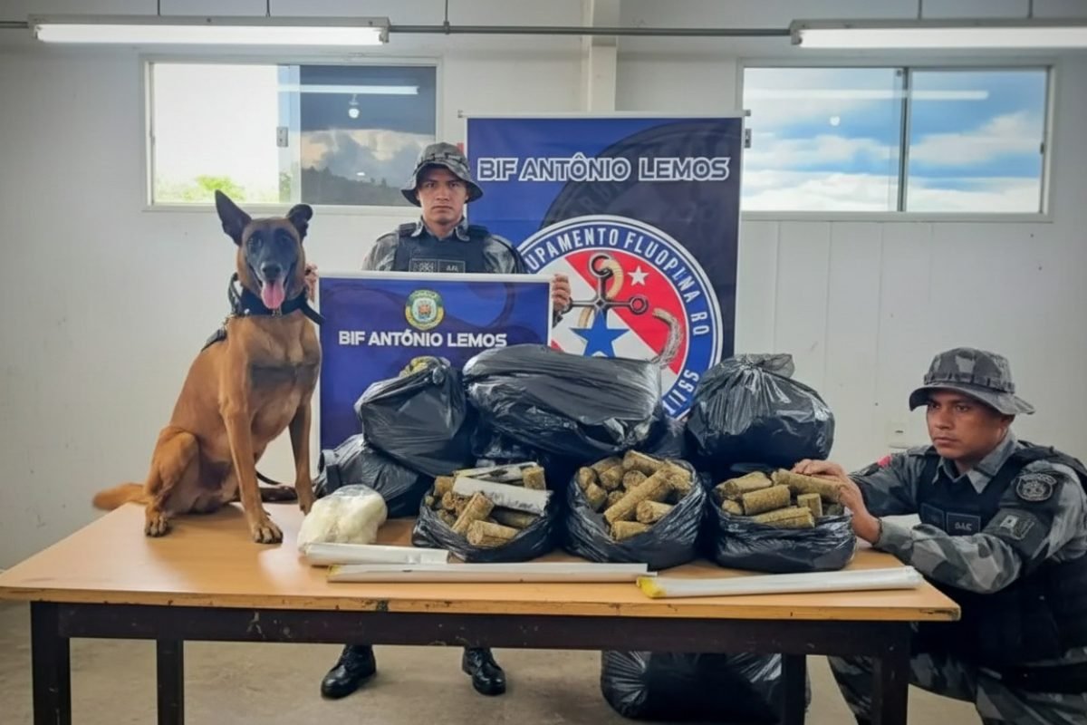 Imagem gerada com IA