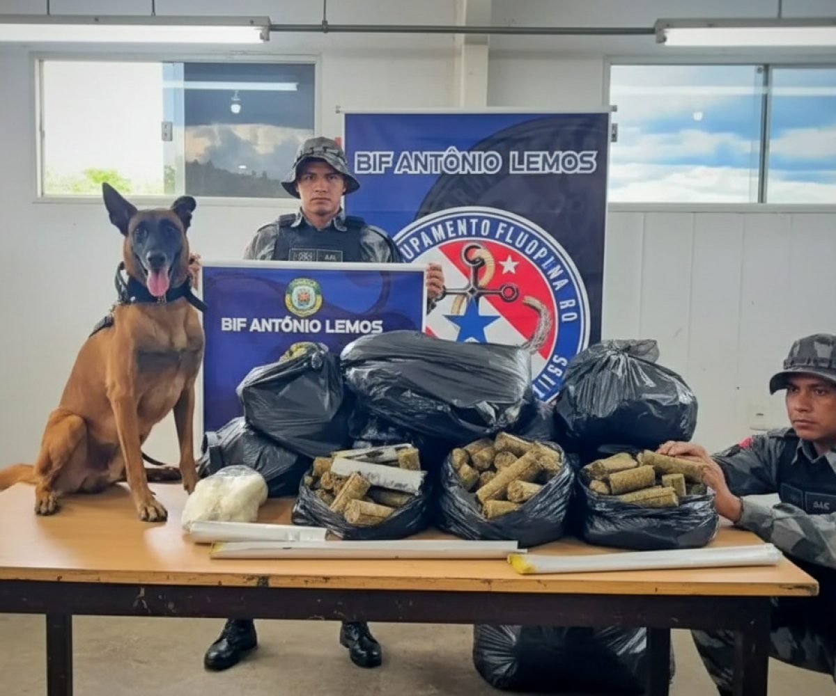 Imagem gerada com IA