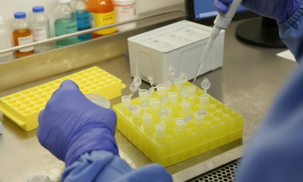 Imagem gerada com IA