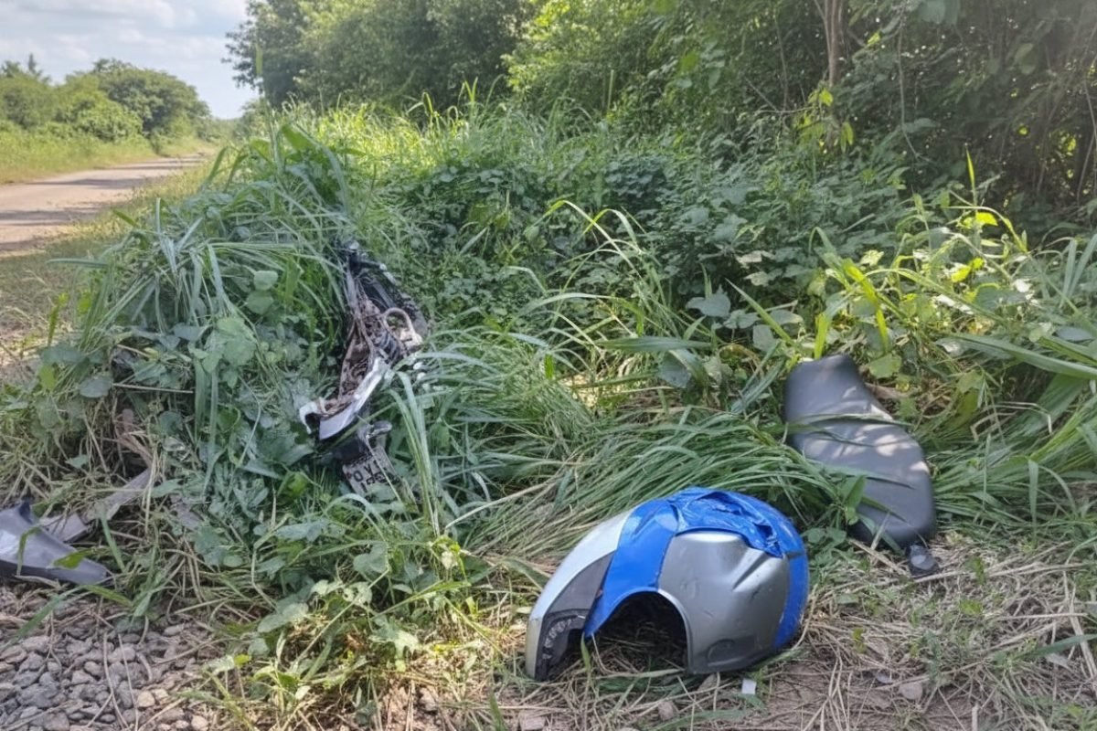 Imagem gerada com IA