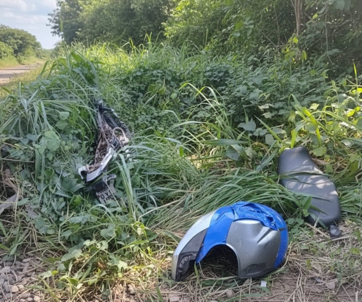 Imagem gerada com IA