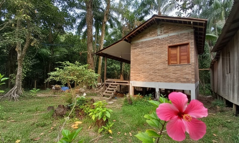 Imagem gerada com IA