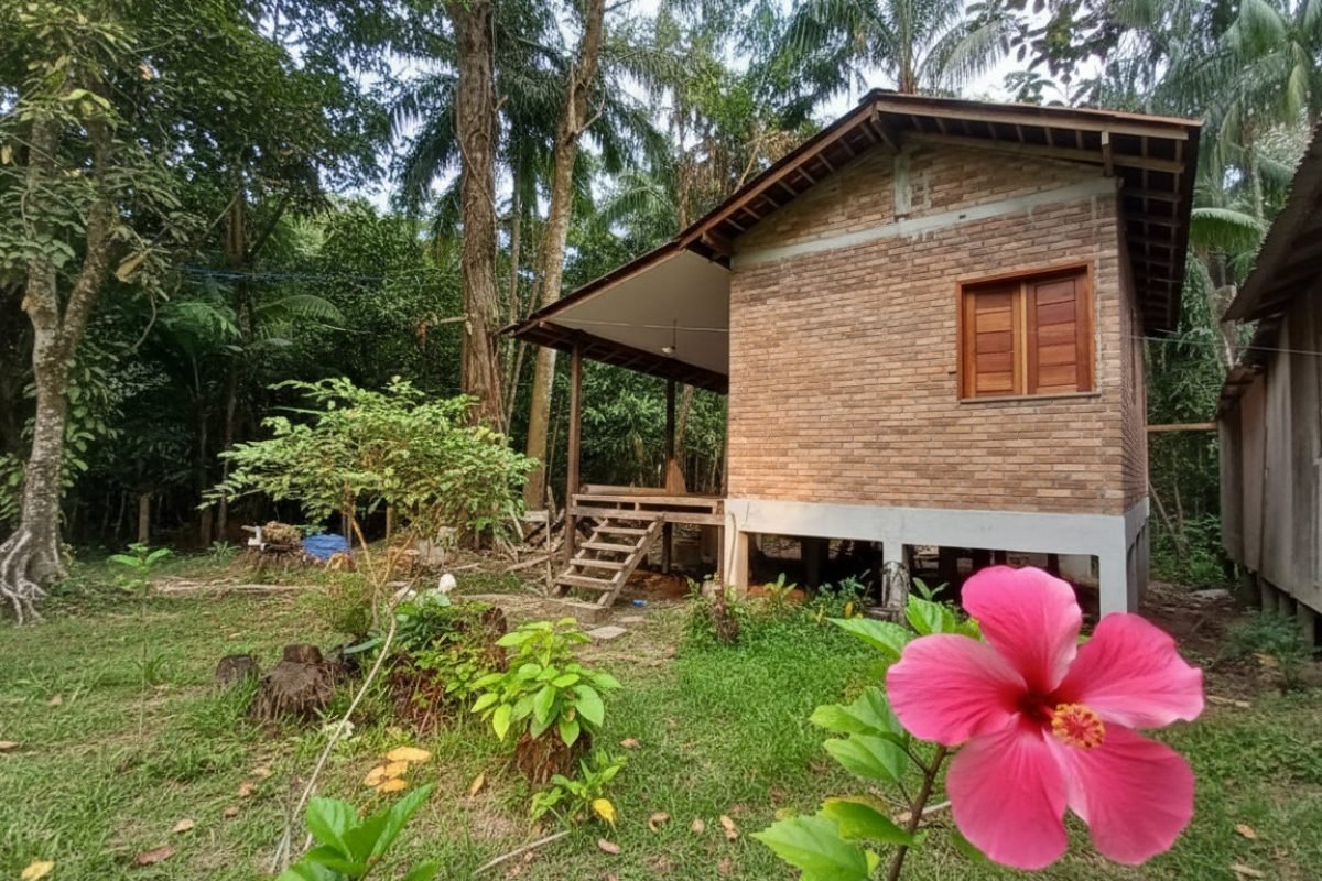 Imagem gerada com IA