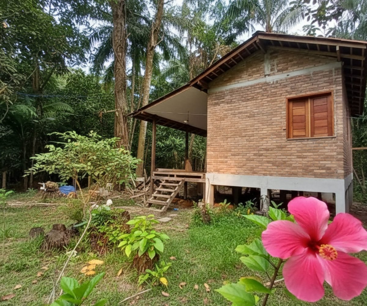 Imagem gerada com IA