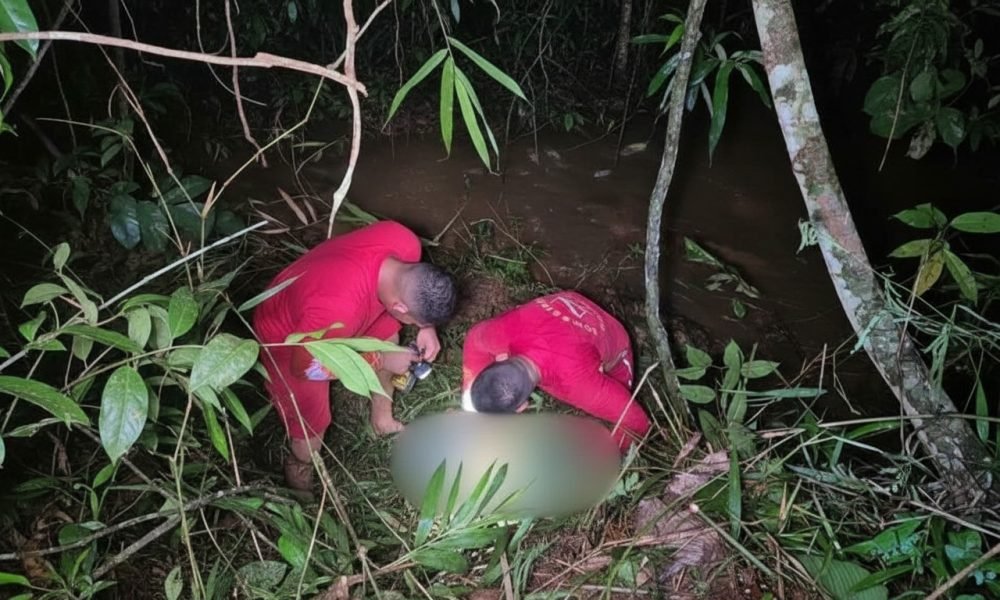 Imagem gerada com IA