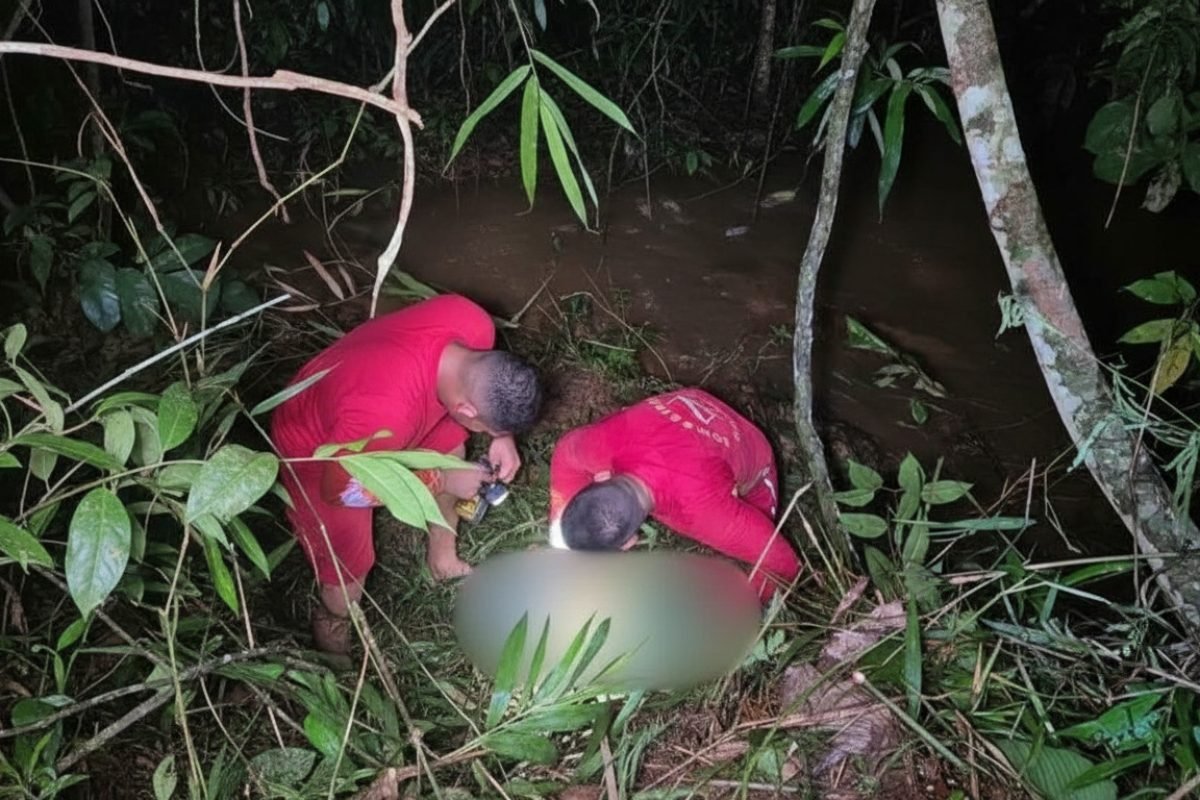 Imagem gerada com IA