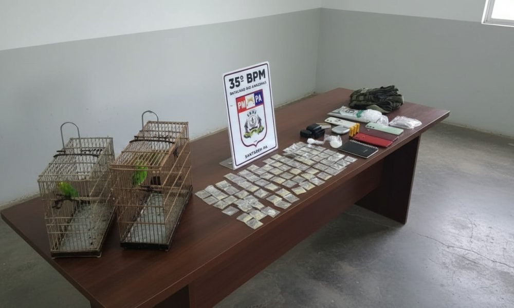 Imagem gerada com IA