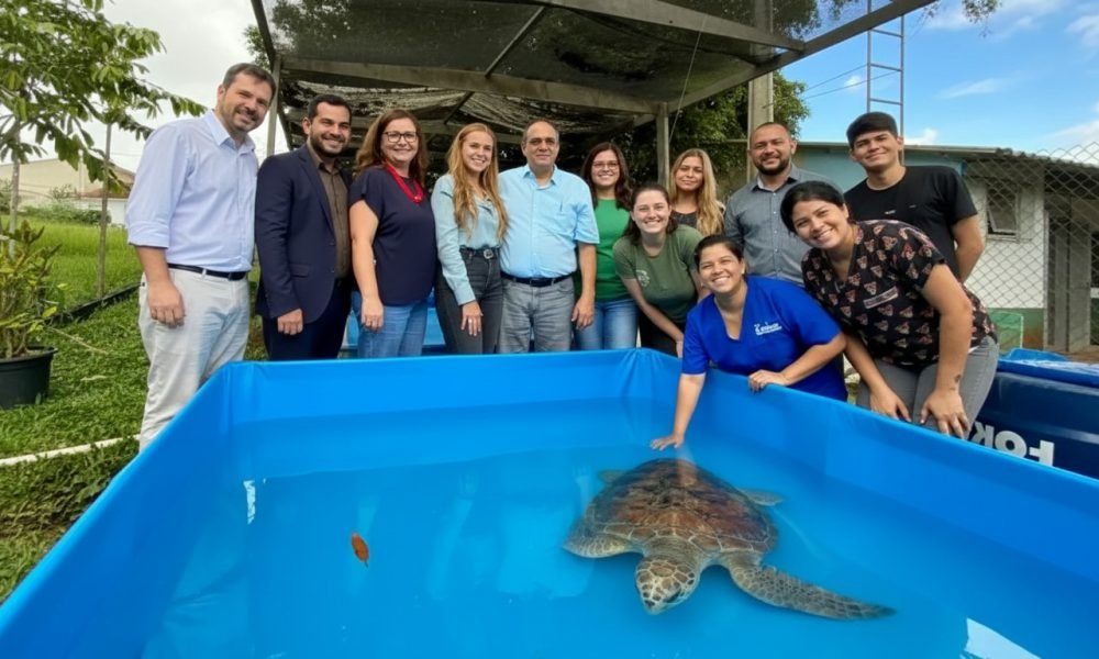 Imagem gerada com IA