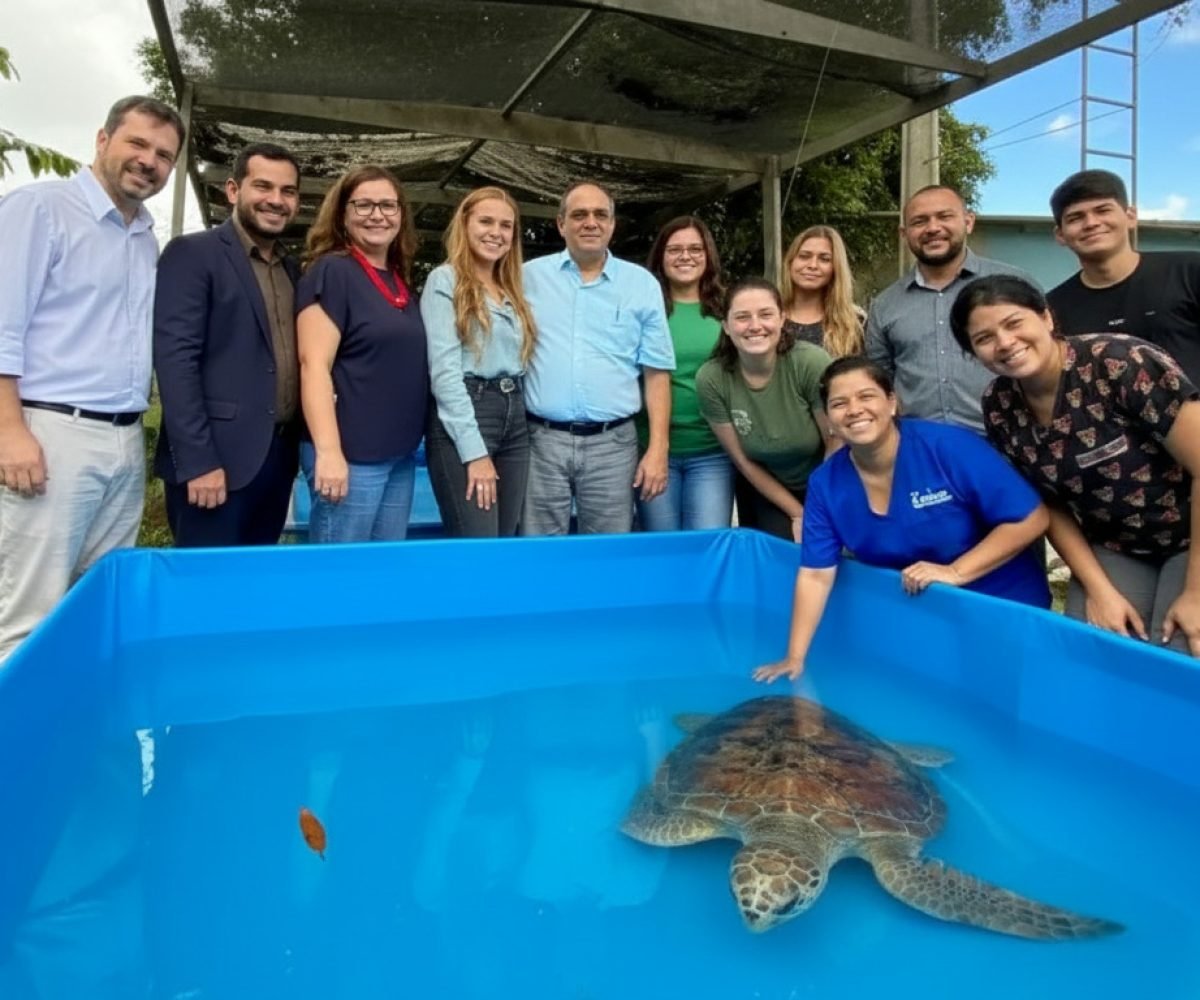 Imagem gerada com IA